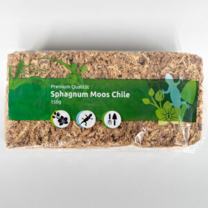 Sphagnum Moos