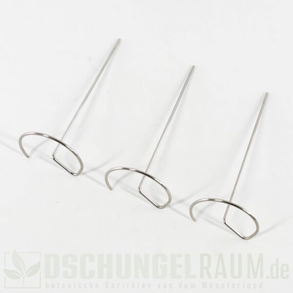 3x Pflanzenstütze