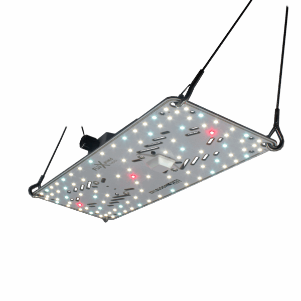 FLUXshield Habibi 150